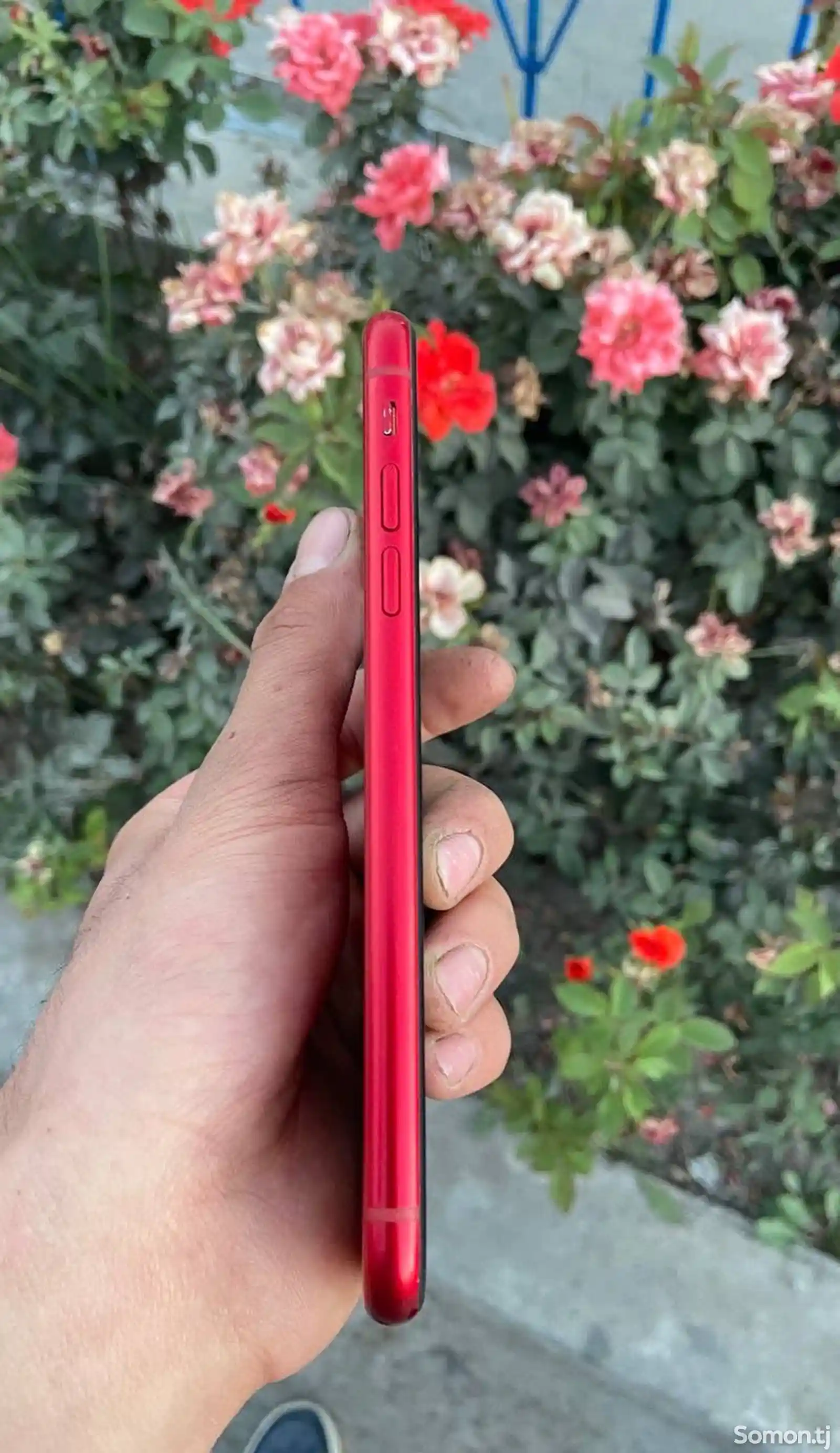 Apple iPhone Xr, 64 gb, Product Red-5