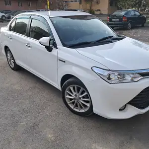 Toyota Axio, 2016