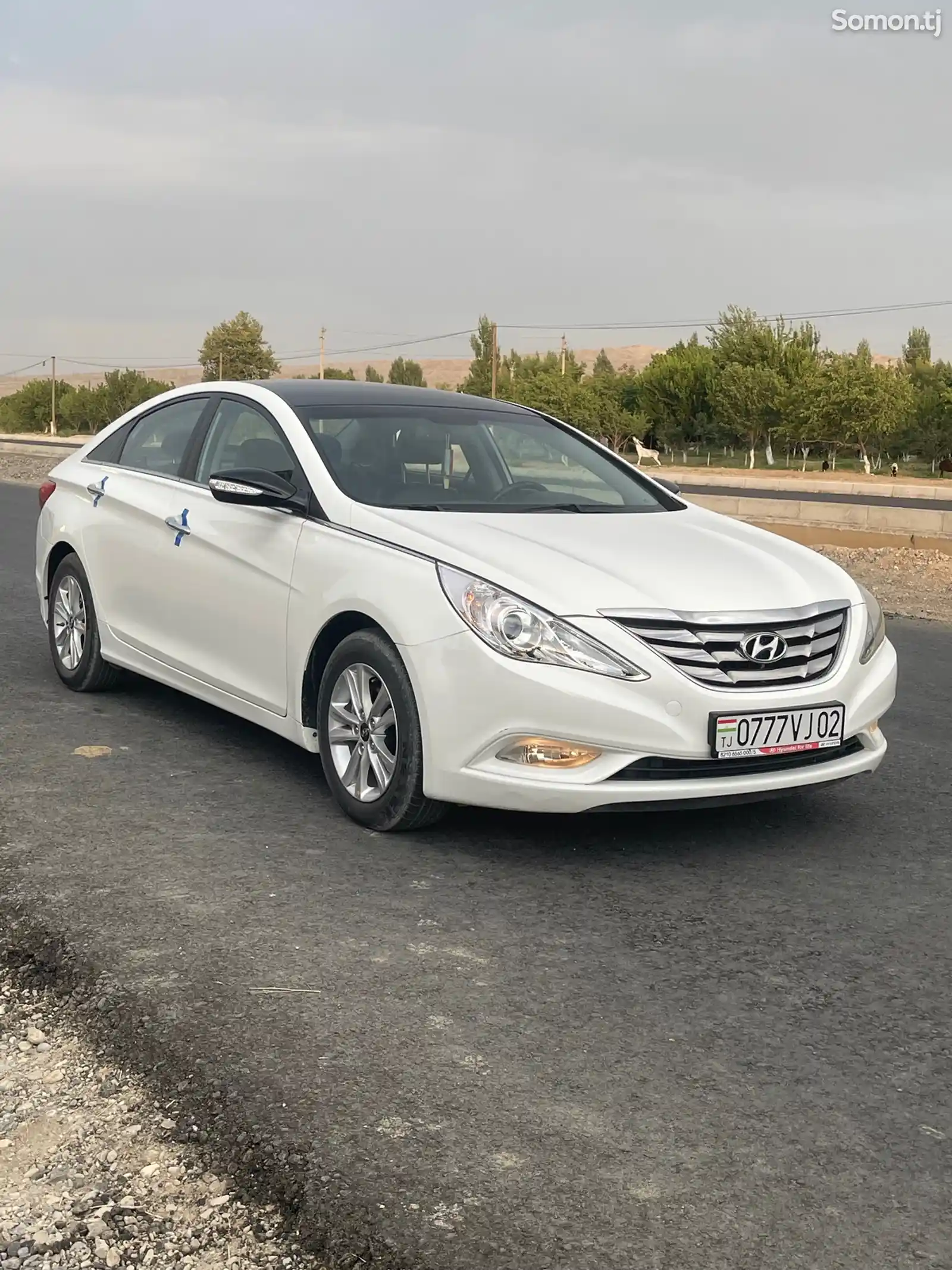 Hyundai Sonata, 2010-3