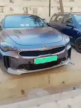 Kia Stinger, 2018-7