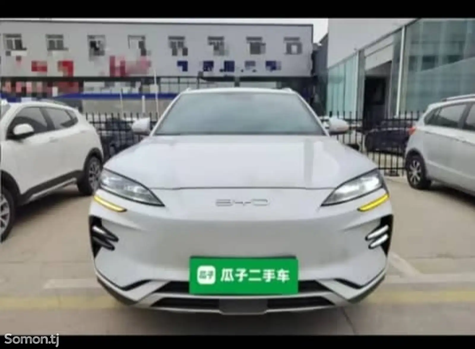 BYD Song Plus, 2024 на заказ-1