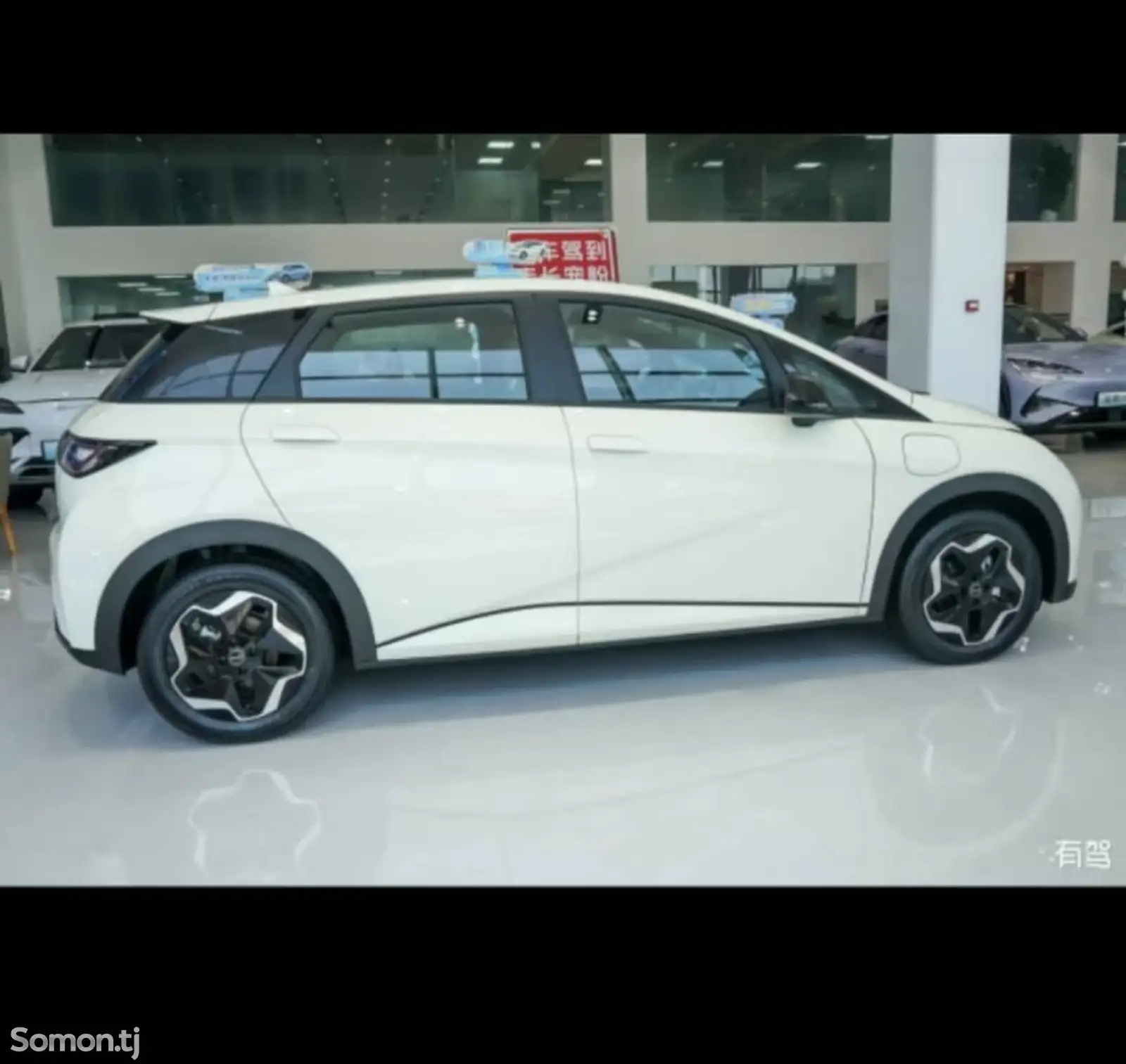 BYD Dolphin, 2024-10