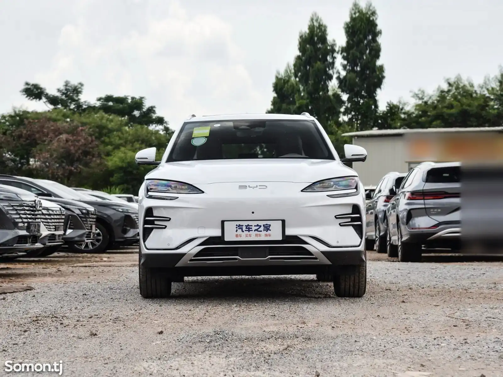 BYD Song Plus Flagship, 2024-1