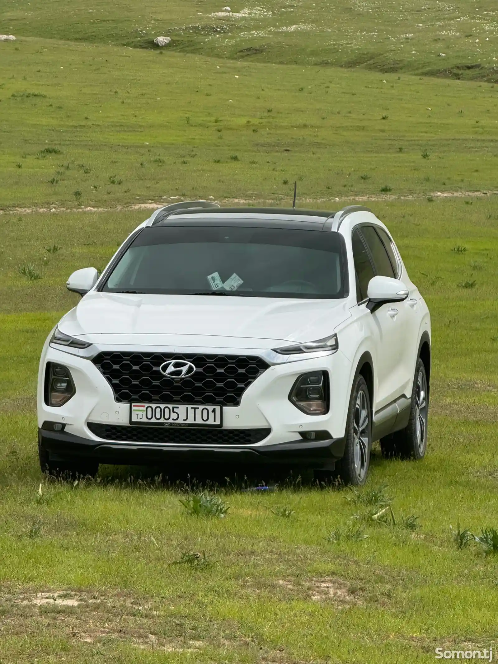 Hyundai Santa Fe, 2019-3