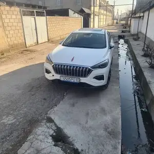 Hongqi E-HS3, 2019