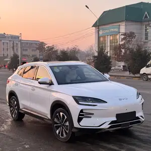 BYD Song Plus Flagship, 2024