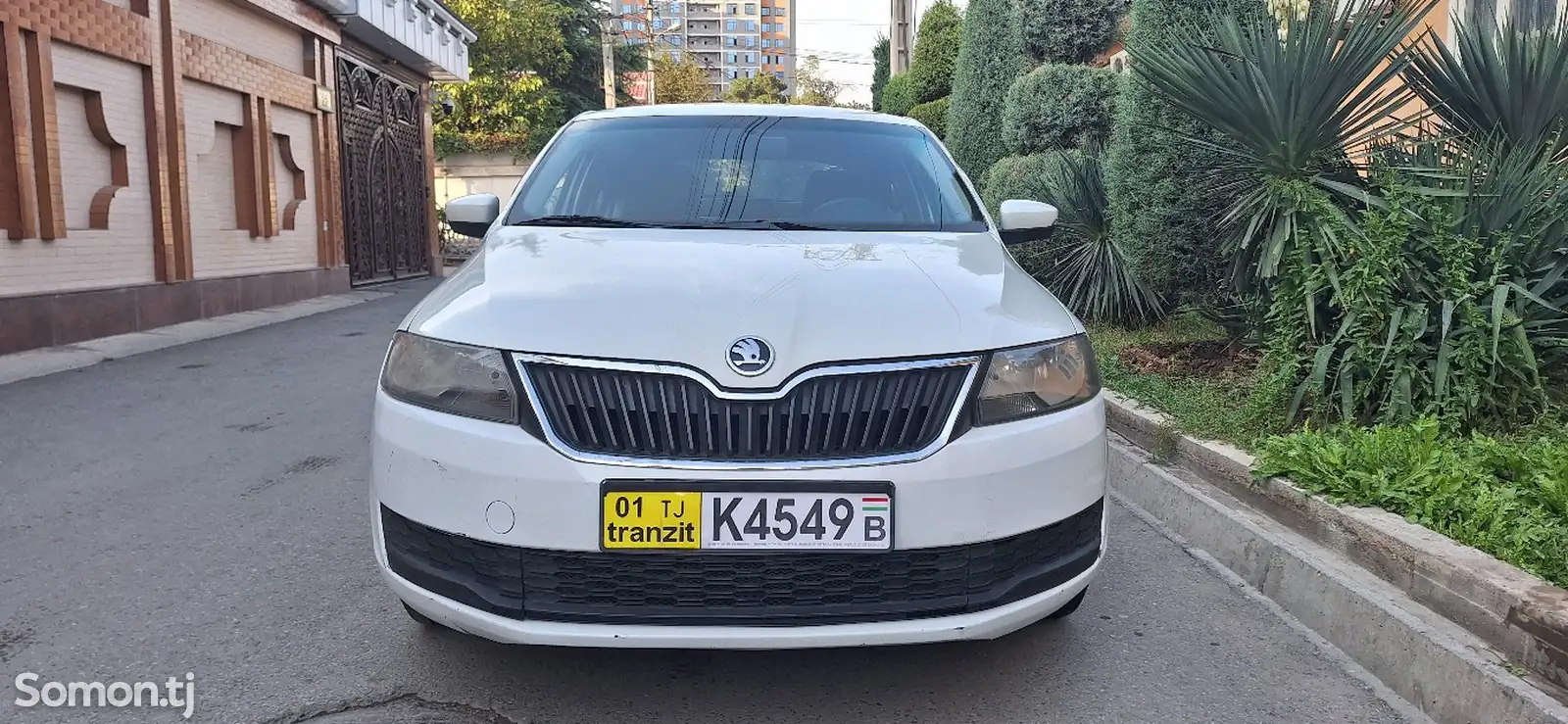 Skoda Rapid, 2019-1