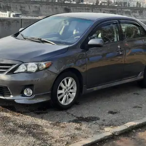 Toyota Corolla, 2010