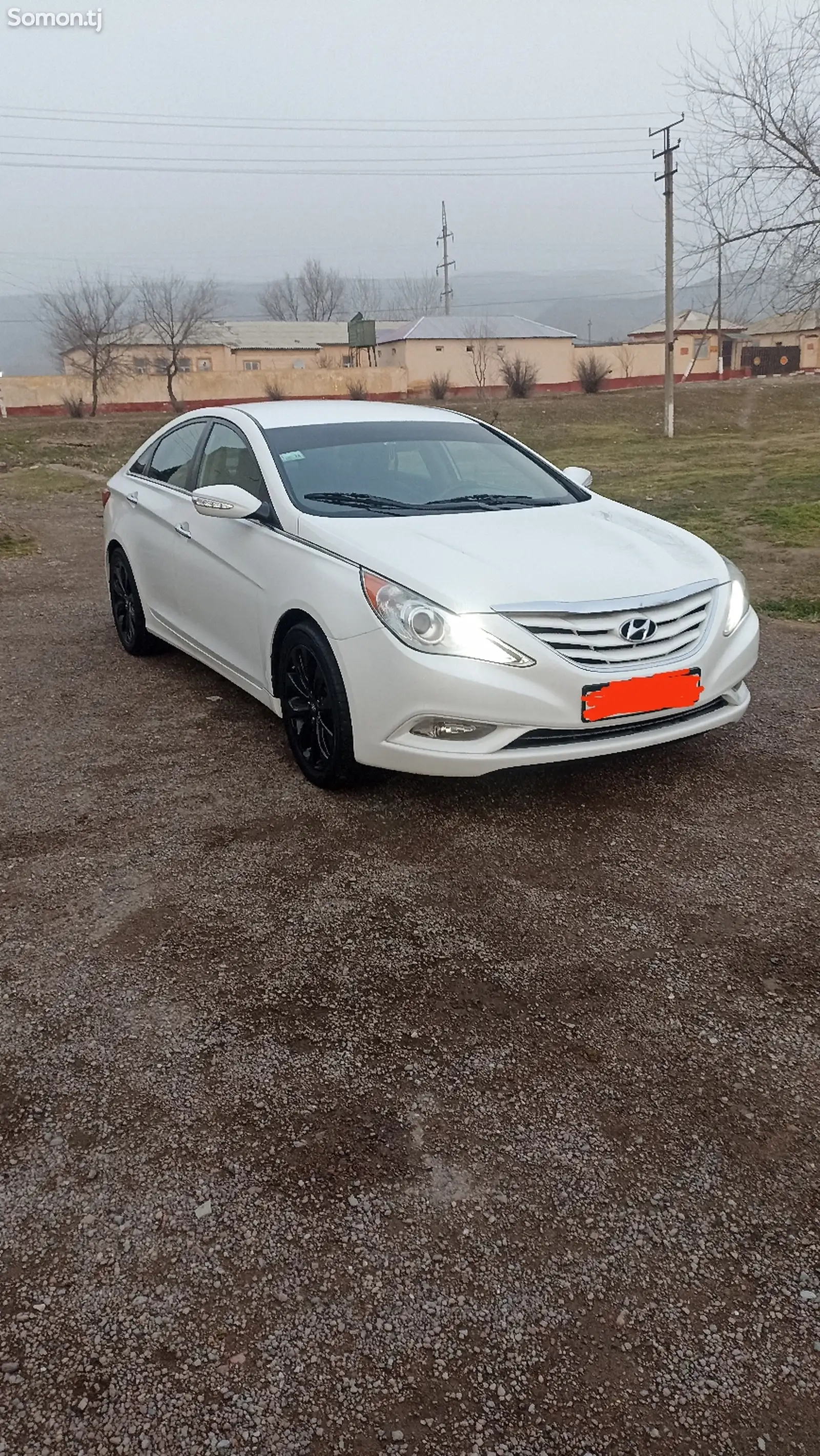 Hyundai Sonata, 2010