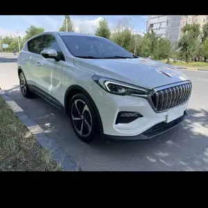 Hongqi E-HS3, 2019