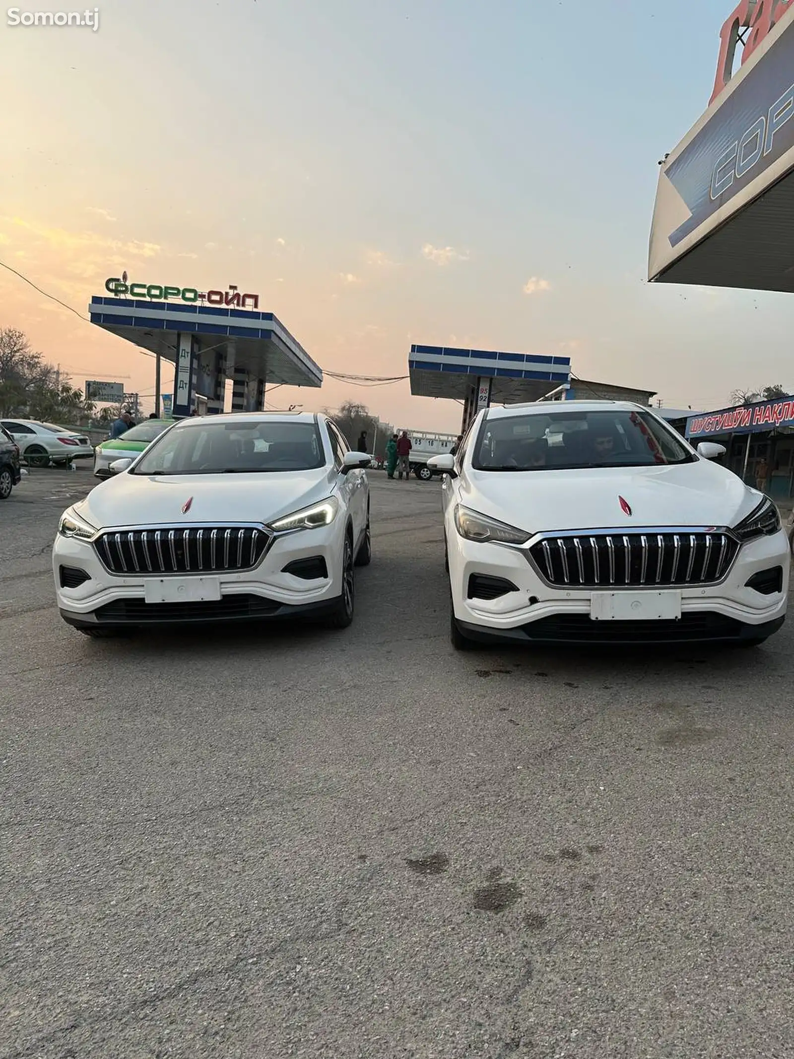 Hongqi E-HS3, 2019-1