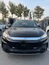 BYD Yuan Plus, 2024-2