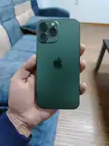 Apple iPhone 13 Pro Max, 256 gb, Alpine Green-5