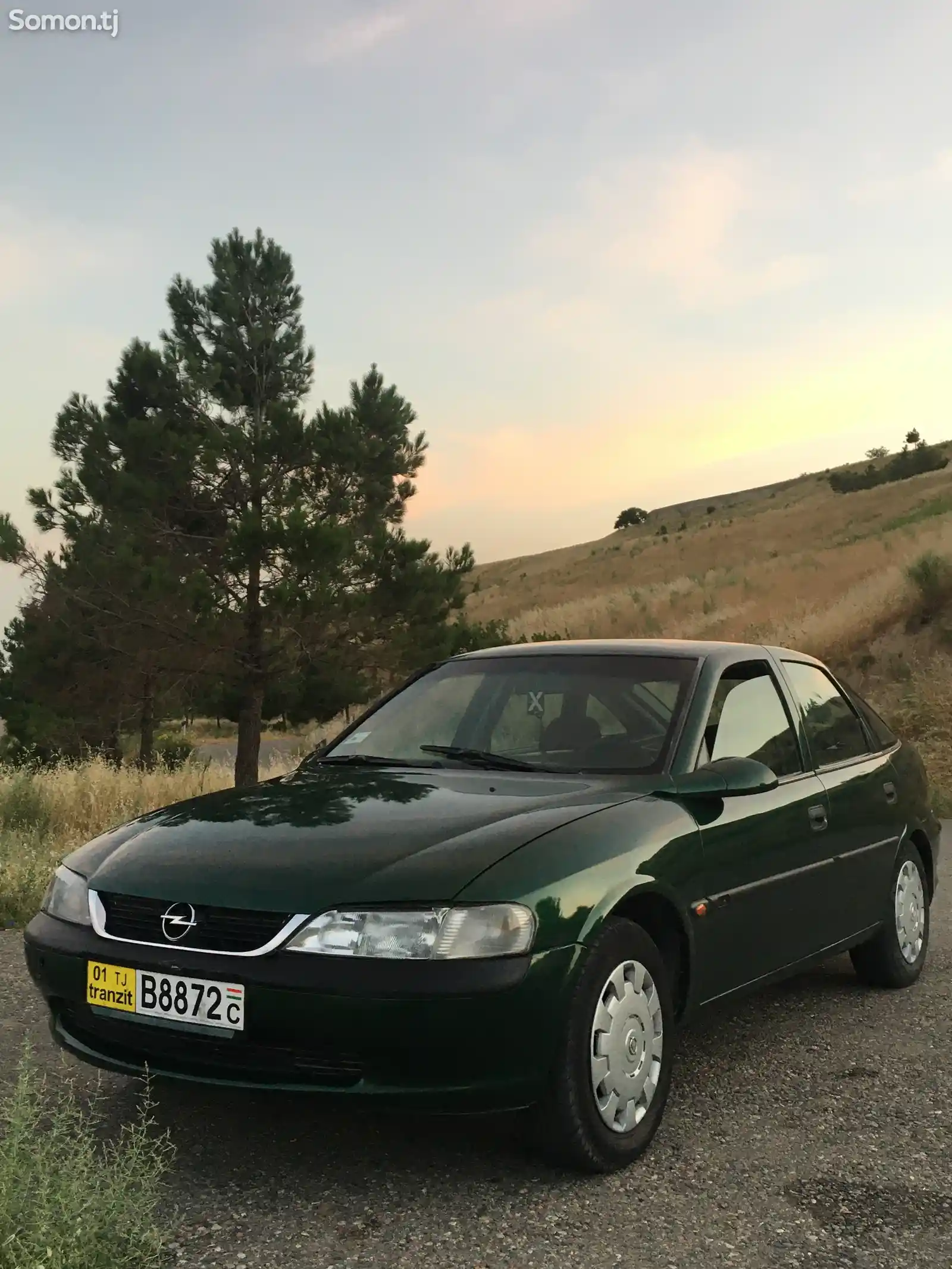 Opel Vectra B, 1995-1