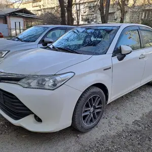 Toyota Axio, 2015