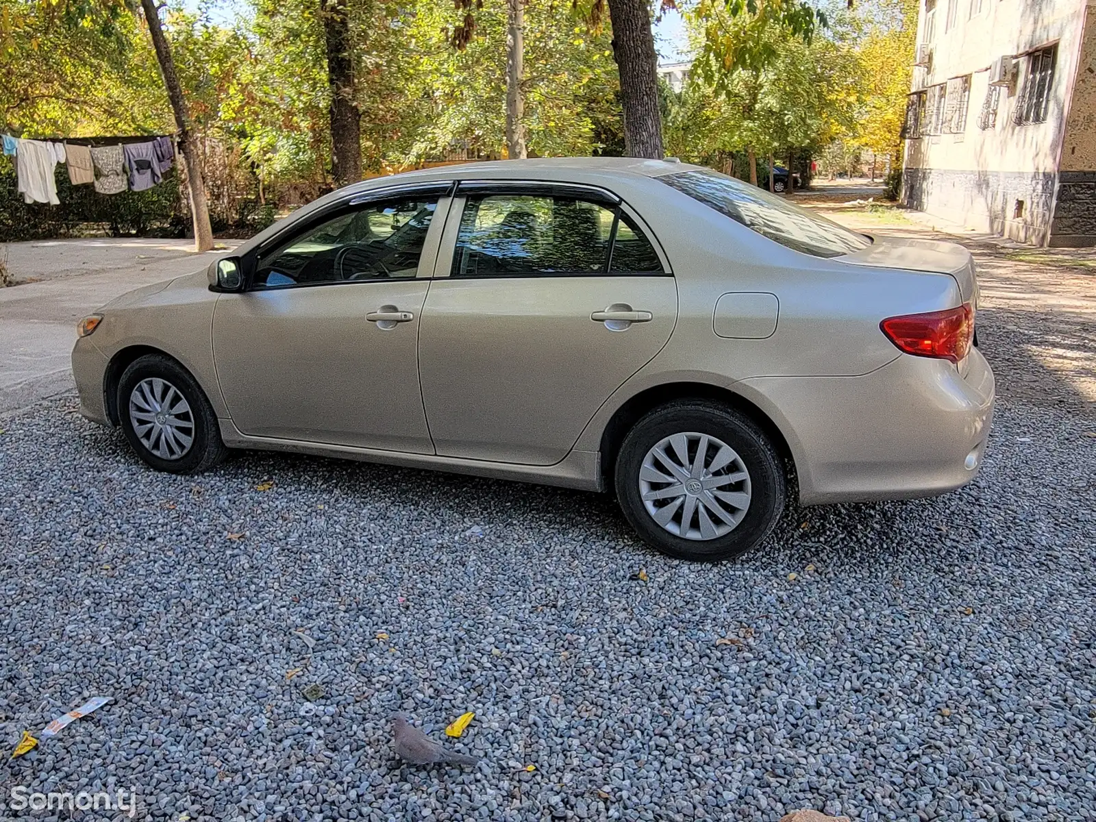 Toyota Corolla, 2010-5