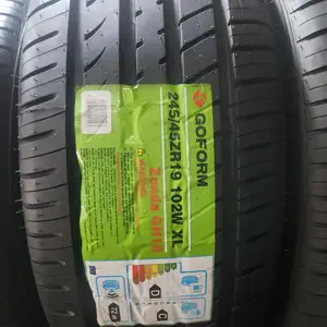 Шины 245/45R19 Гоформ