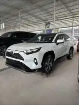 Toyota RAV 4, 2024-3