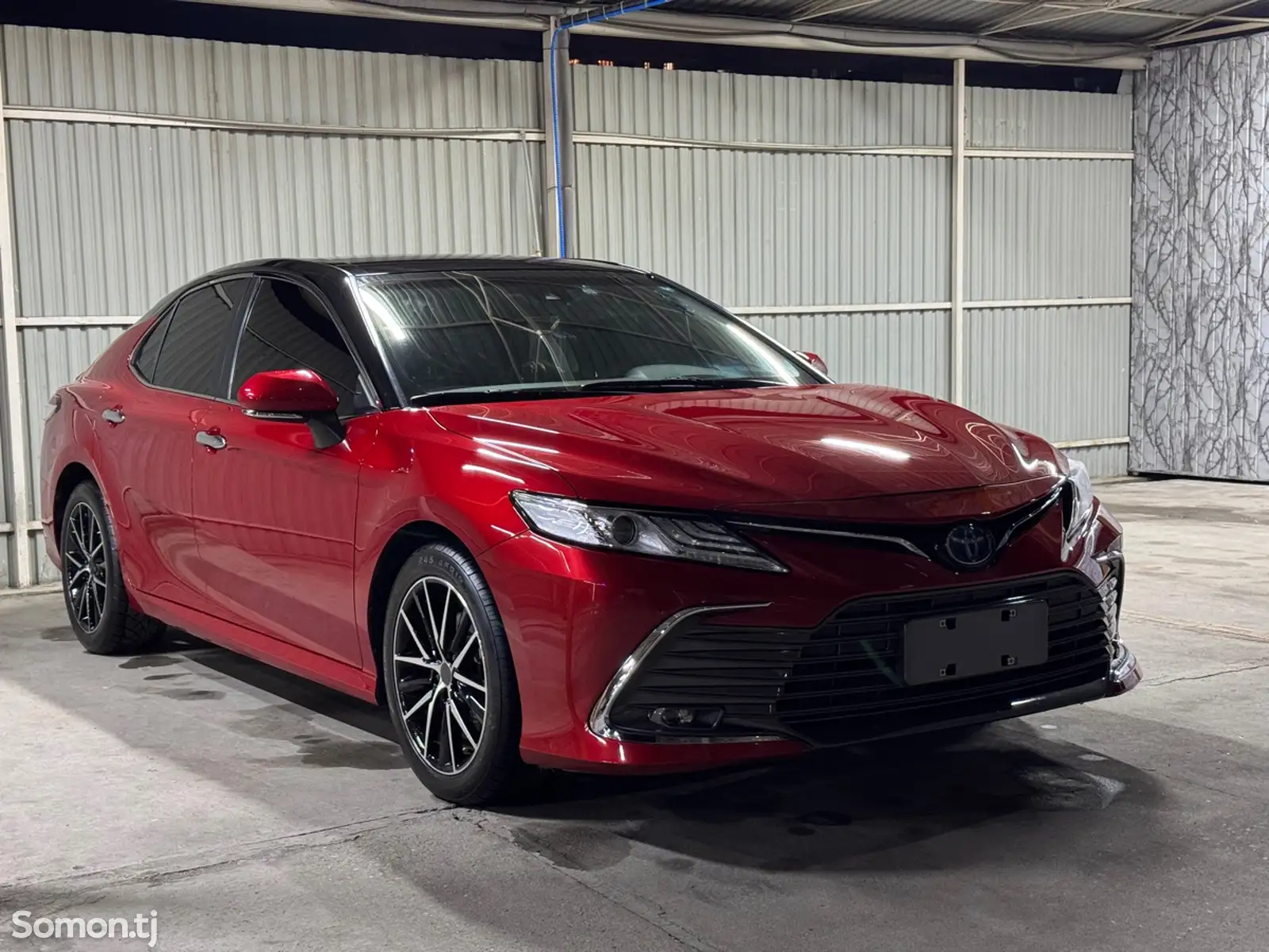 Toyota Camry, 2019-1