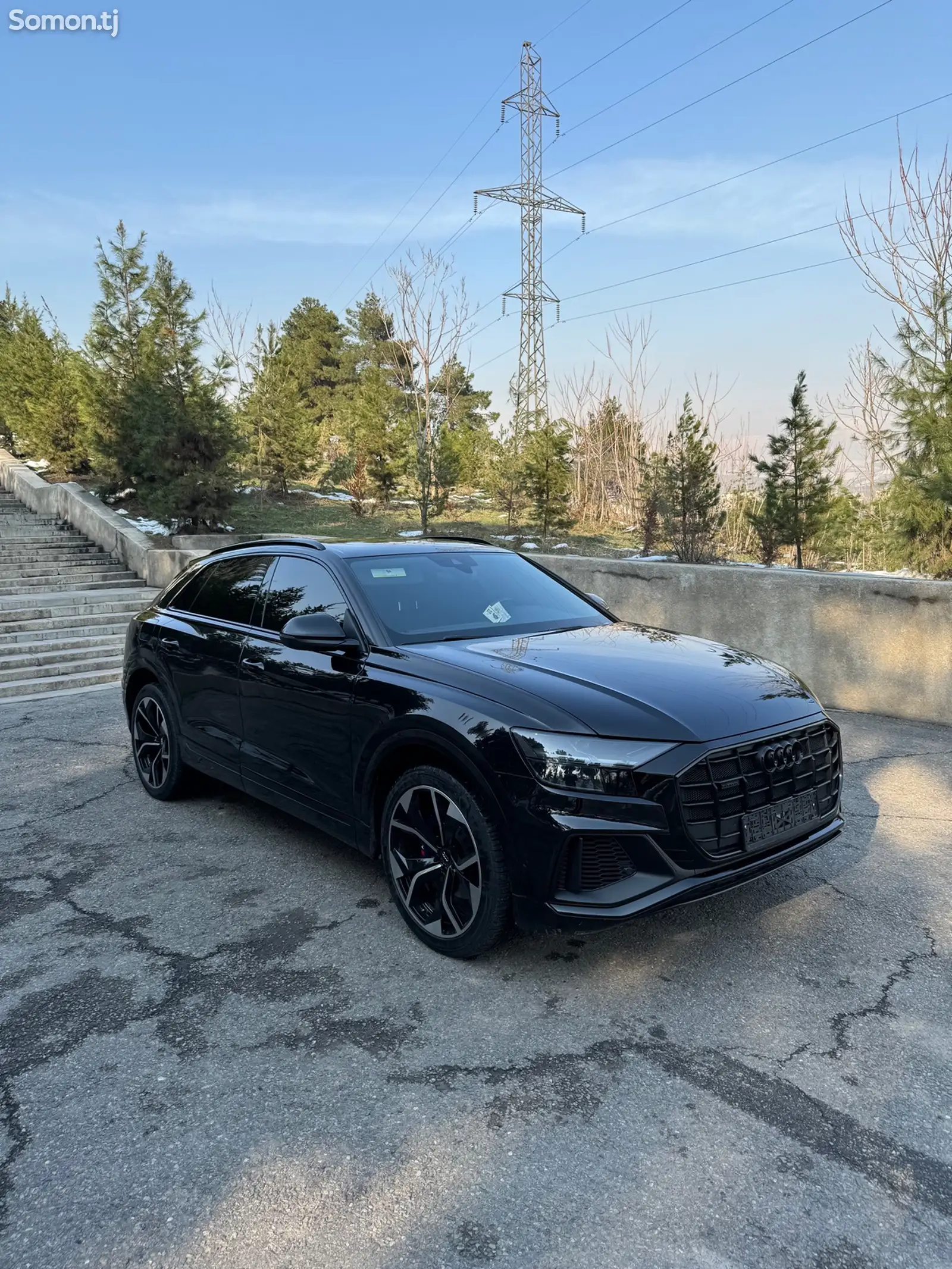 Audi Q8, 2019-1