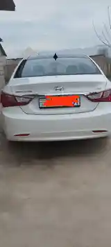 Hyundai Sonata, 2010-4