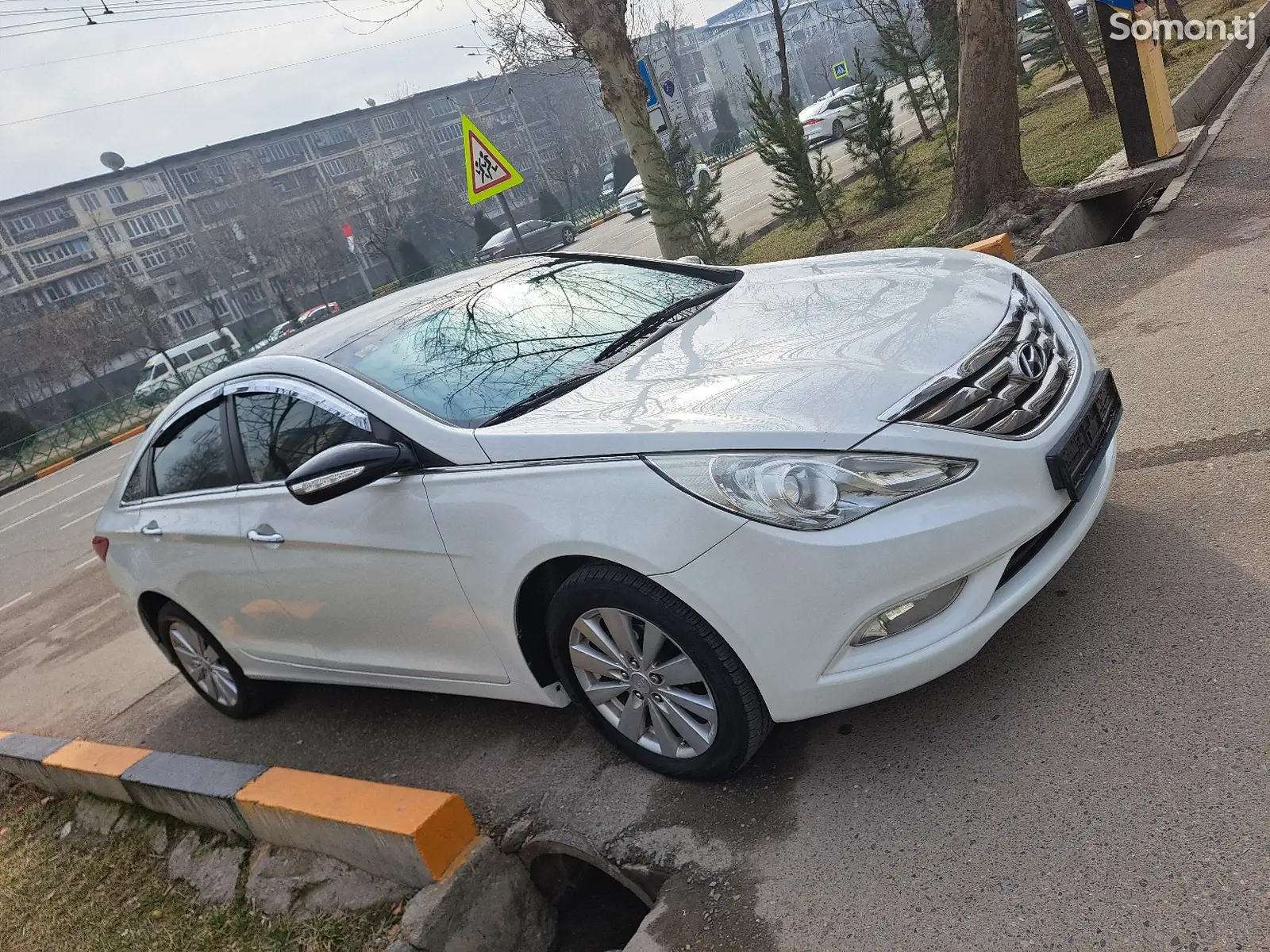 Hyundai Sonata, 2010-1