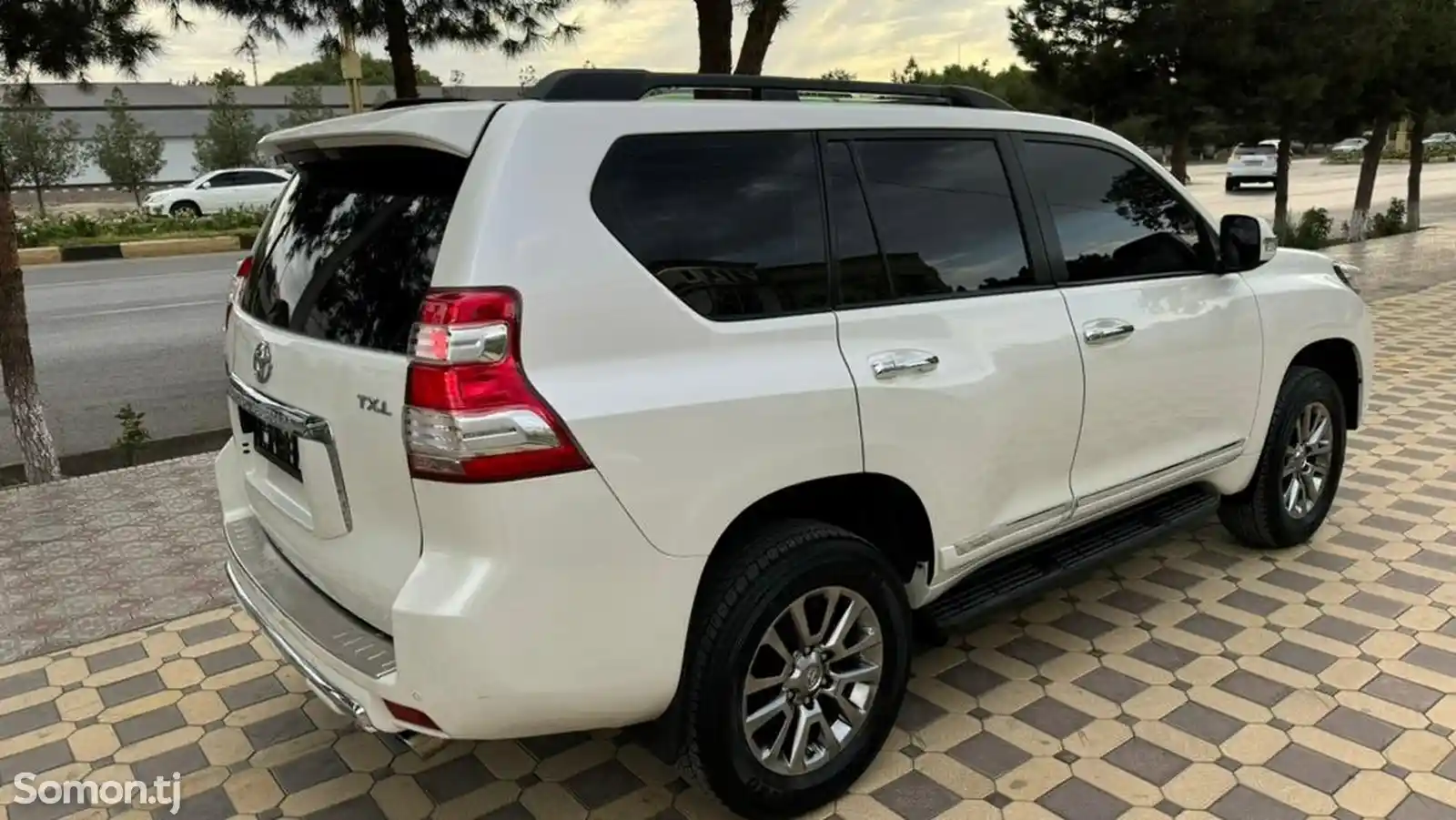 Toyota Land Cruiser Prado, 2010-3