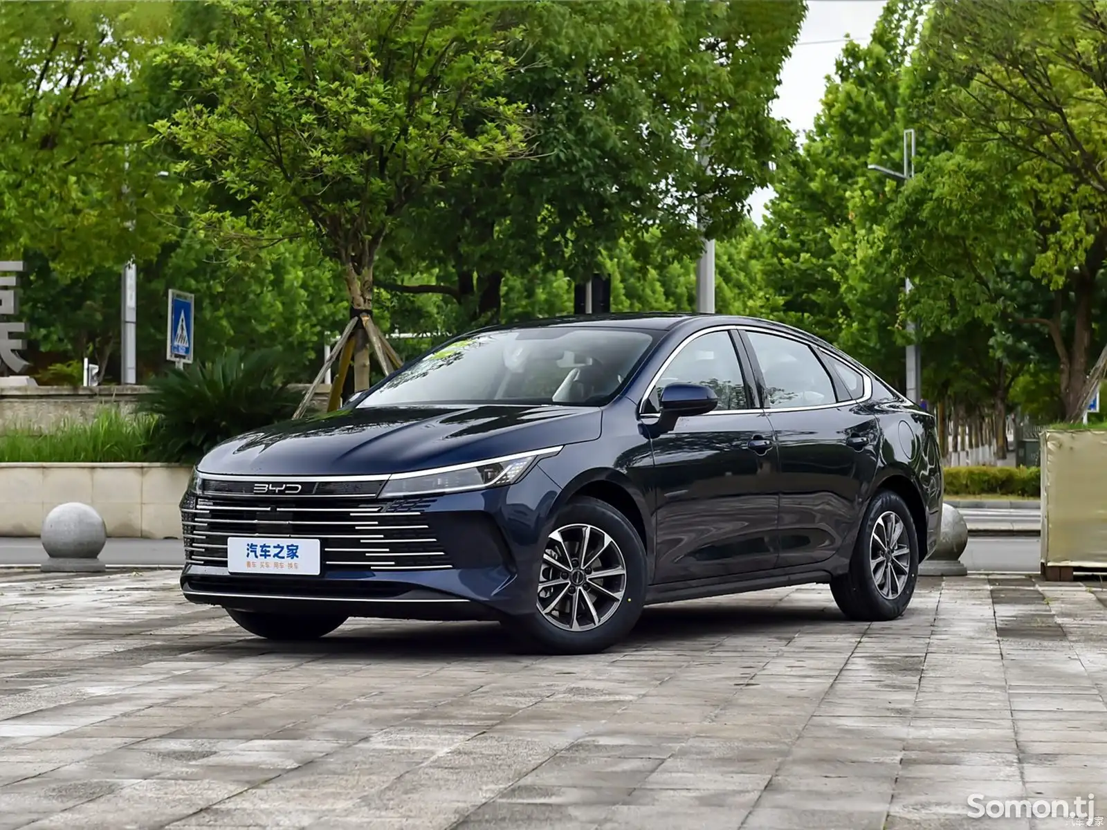 BYD Chazor, 2024-1