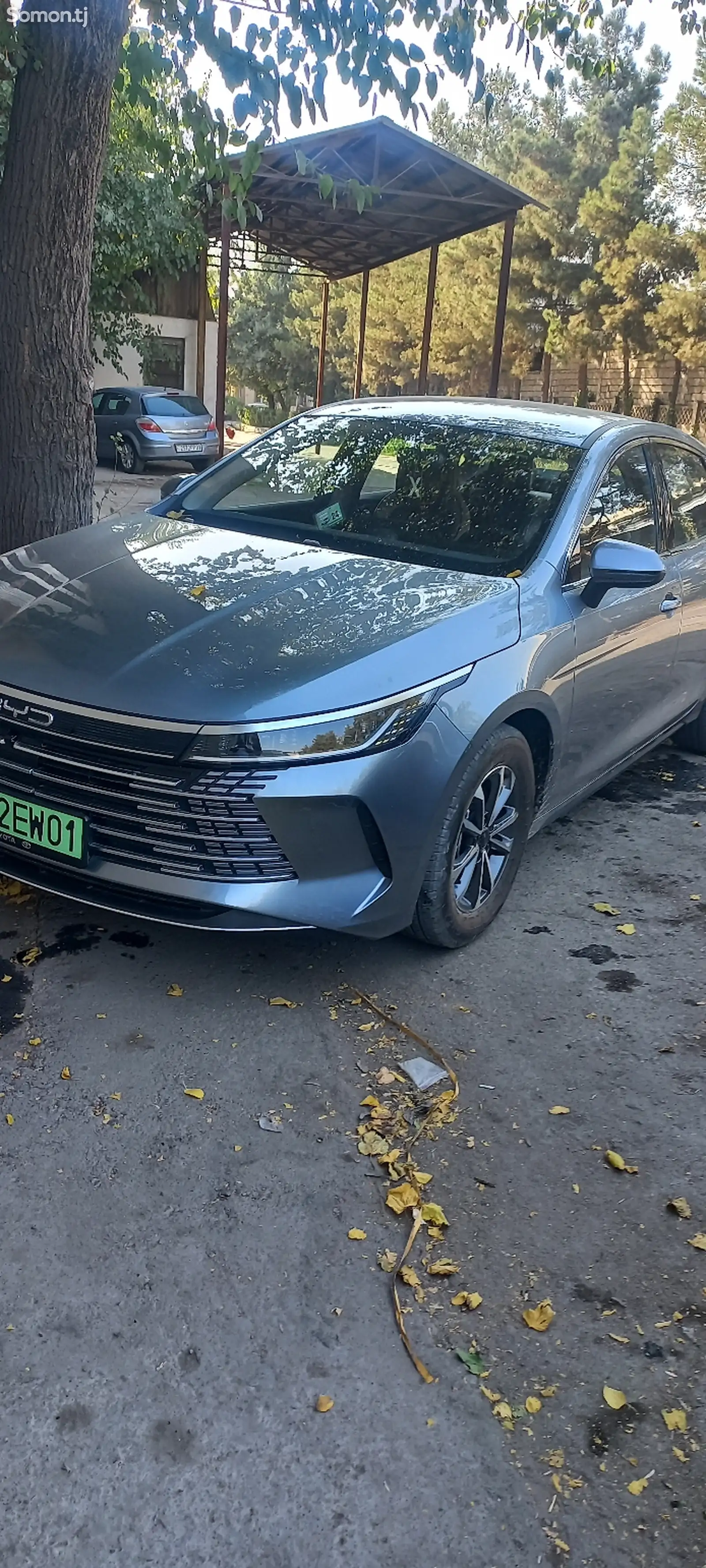 BYD Chazor, 2024-1