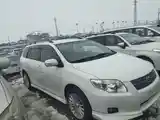 Toyota Fielder, 2007-7