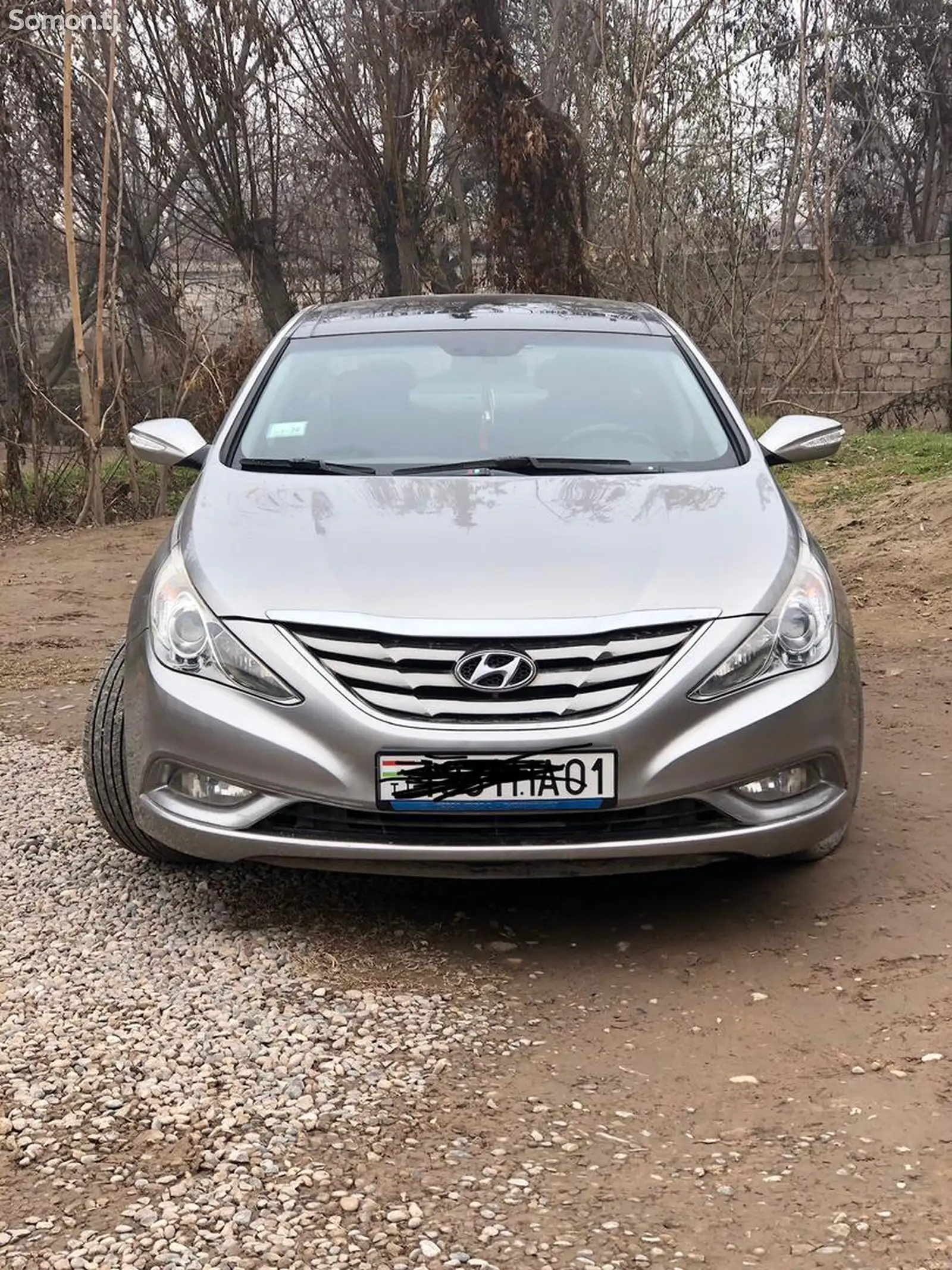 Hyundai Sonata, 2010-1