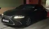 Lexus ES series, 2019-2