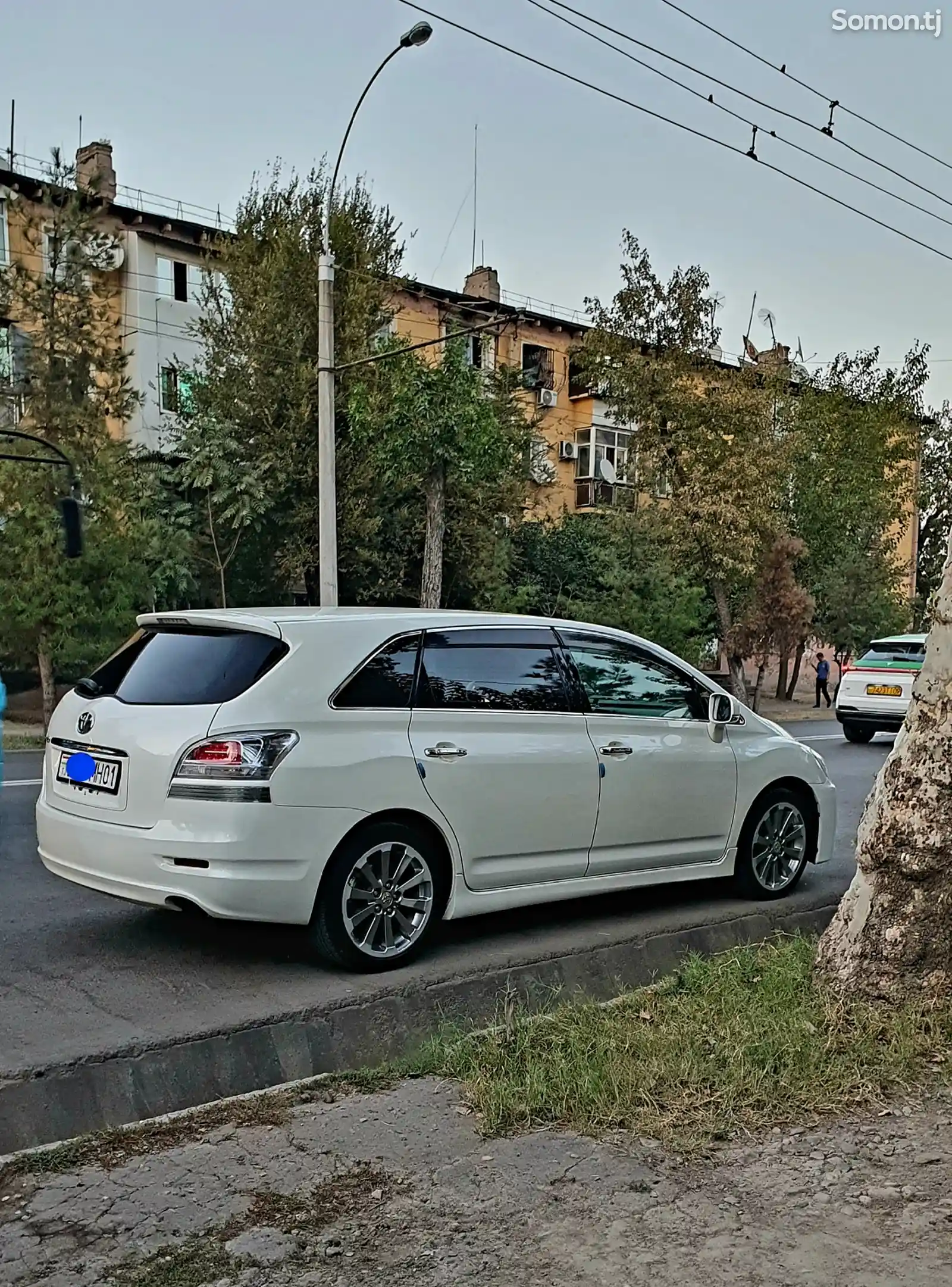 Toyota Mark X ZiO, 2013-3