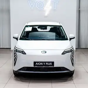 GAC Aion Y, 2024 на заказ