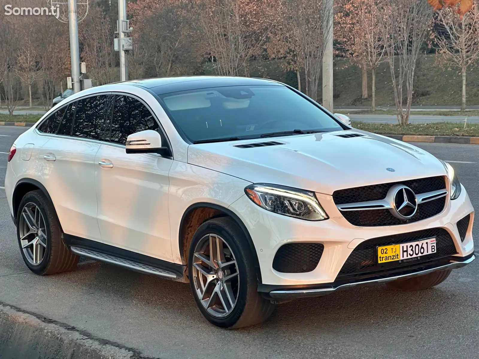 Mercedes-Benz GLE class, 2018-1