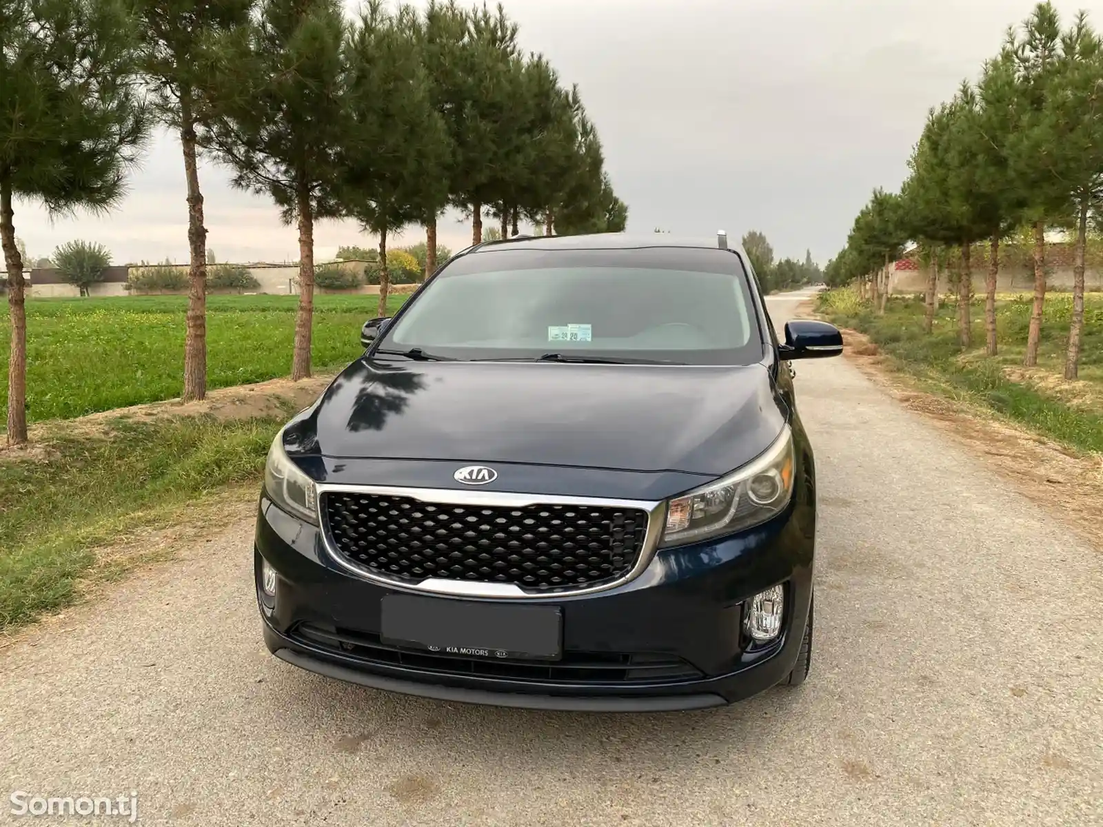 Kia Sedona, 2015-3