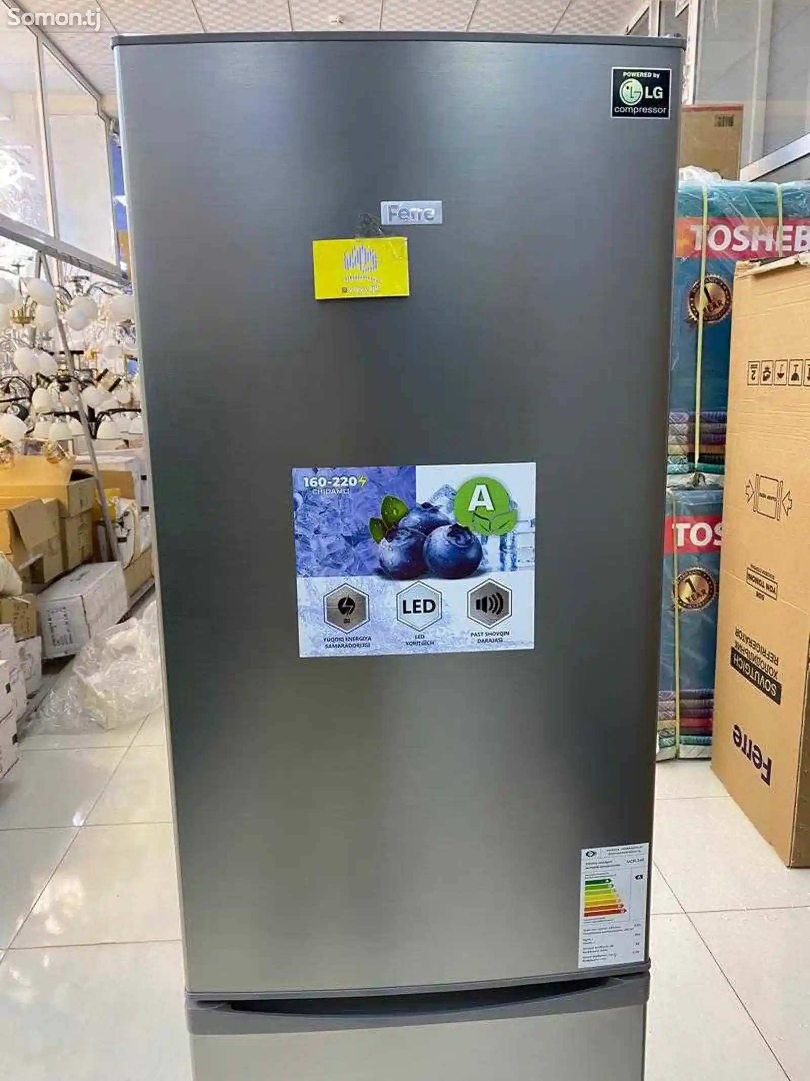 Холодильник Ferre-2