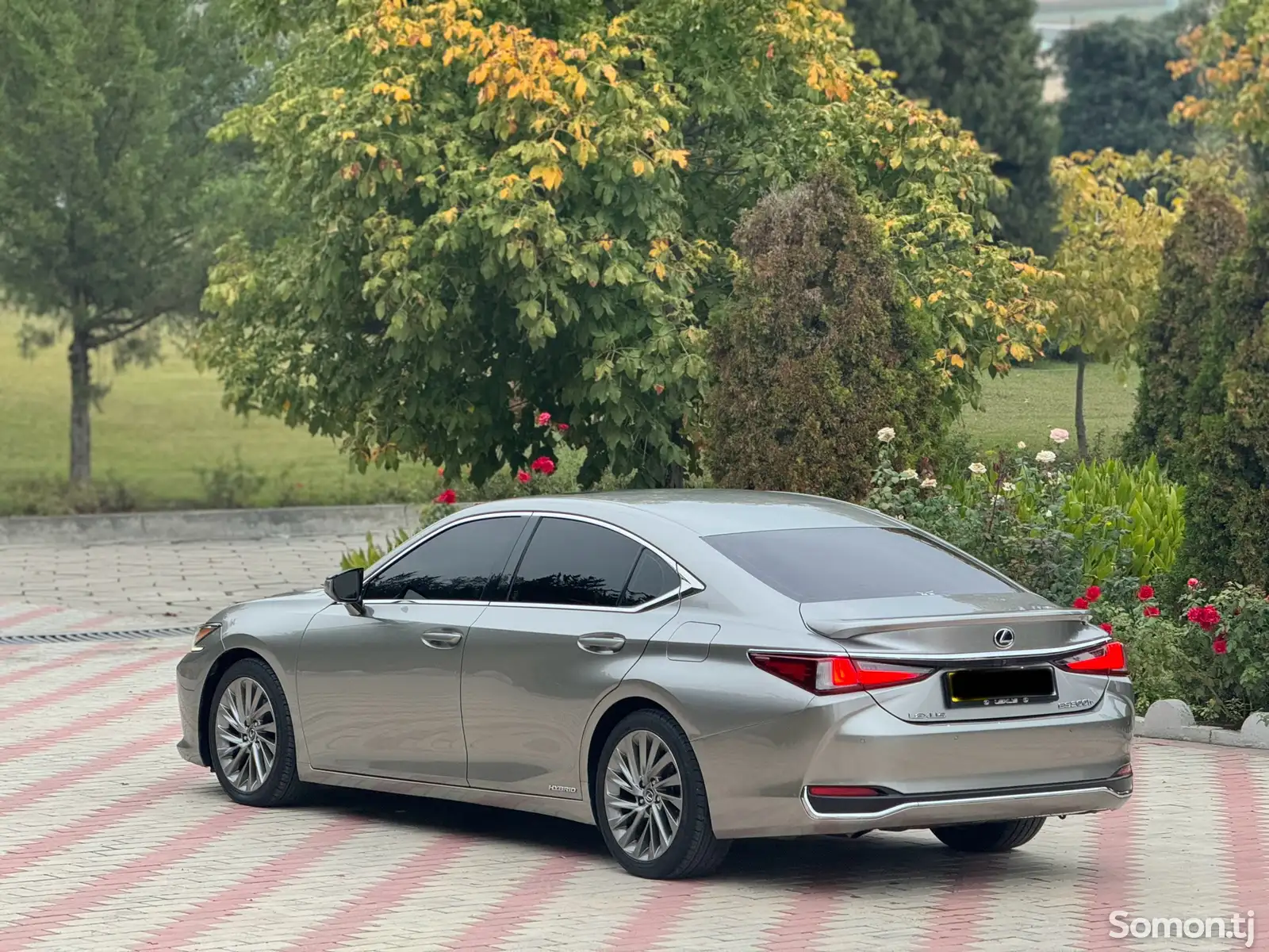 Lexus ES series, 2020-5