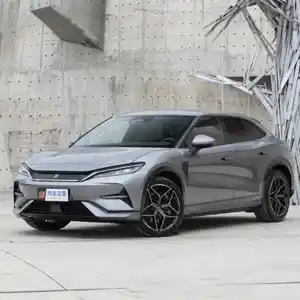 BYD Song, 2024
