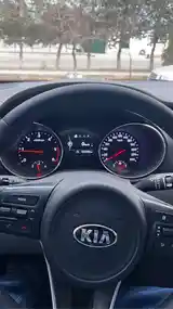 Kia Carnival, 2017-5