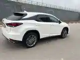 Lexus RX series, 2023-12