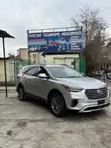 Hyundai Santa Fe, 2017-3