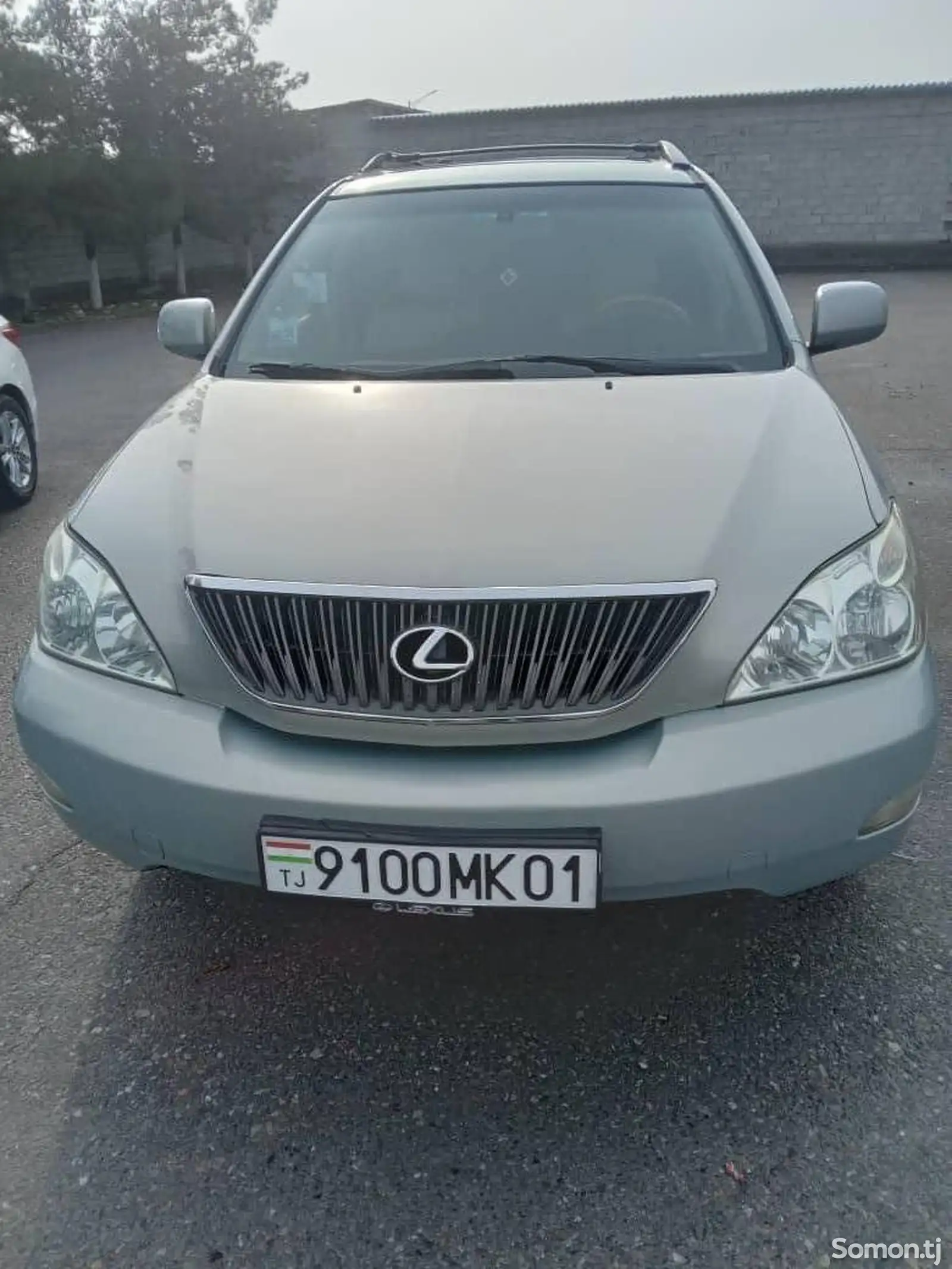 Lexus RX series, 2006-1