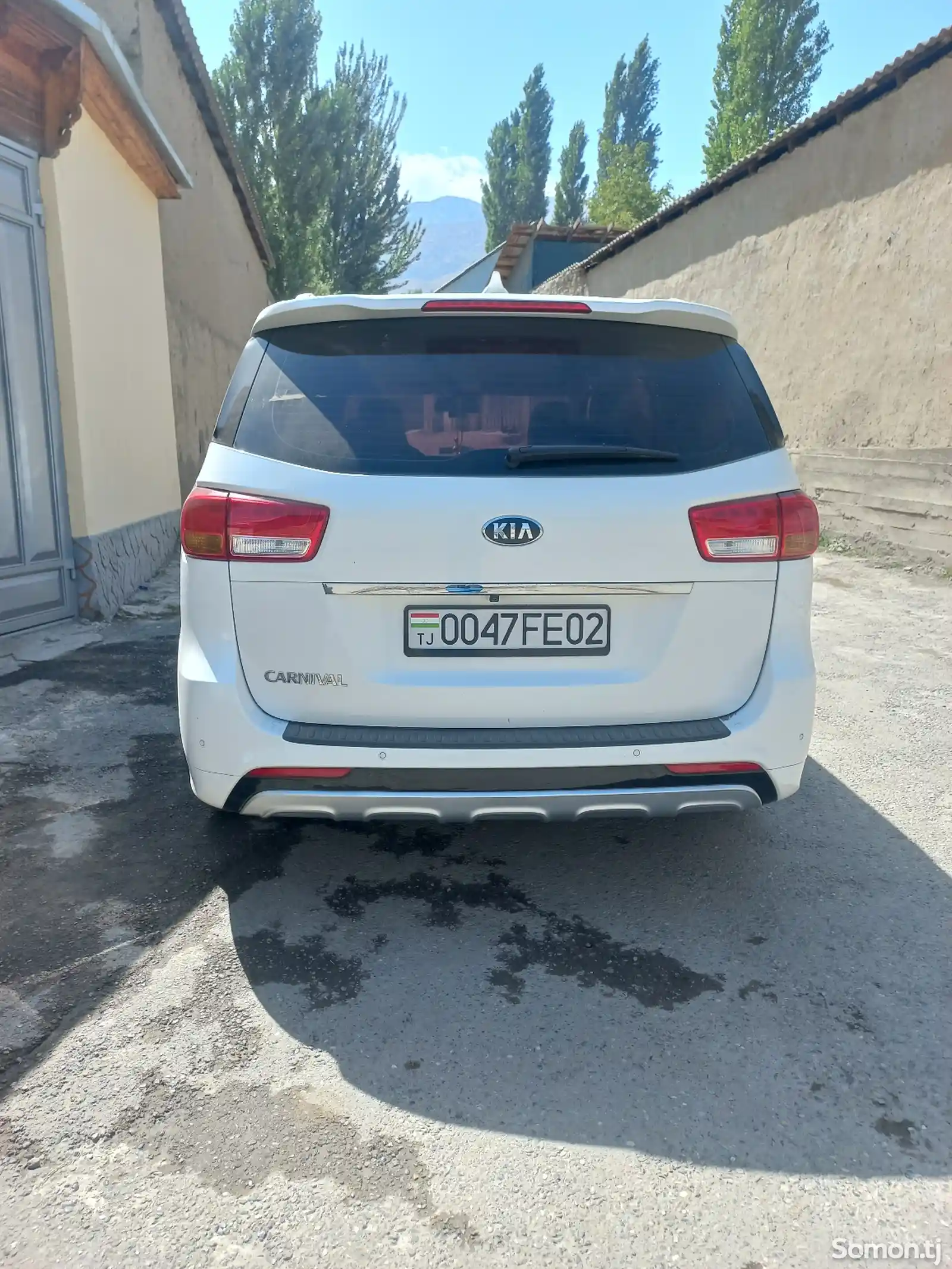 Kia Carnival, 2015-3