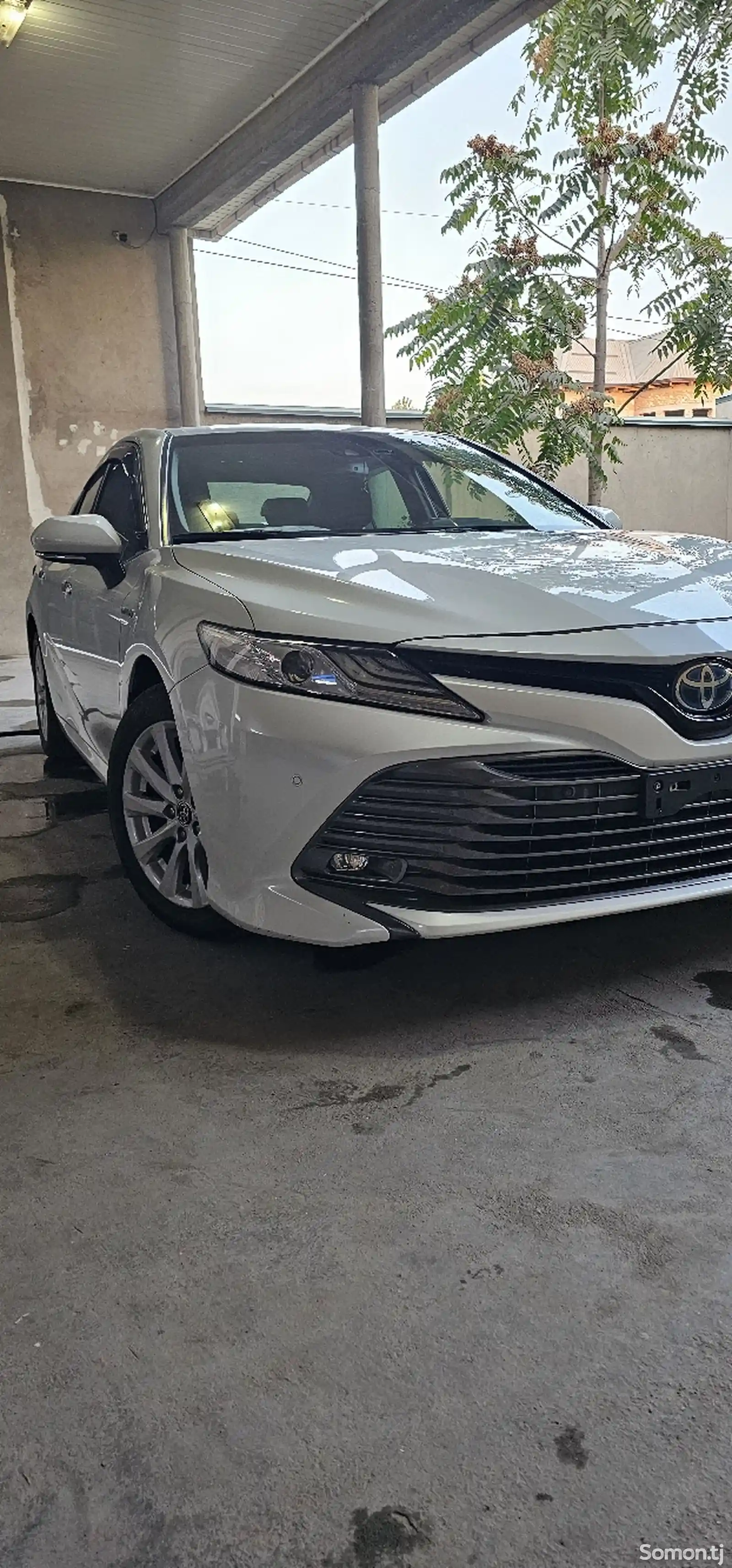 Toyota Camry, 2019-3