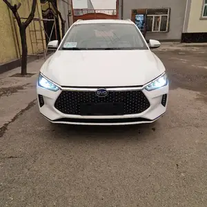 BYD E2, 2020