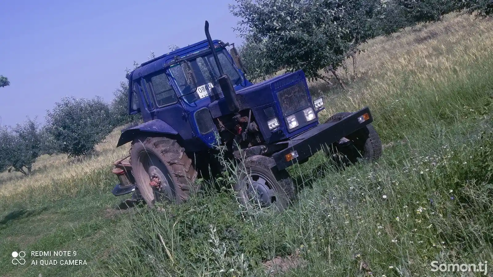 Трактор МТЗ 82-1