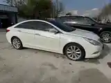 Hyundai Sonata, 2010-4