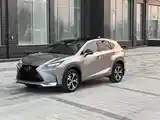 Lexus NX series, 2019-11