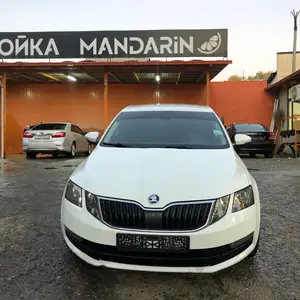 Skoda Octavia, 2018